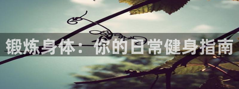 海南3377体育官网下载:锻炼身体:你的日常健身指南