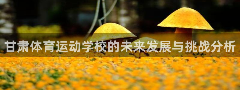 3377体育官网下载是干嘛的公司:甘肃体育运动学校的未来发展